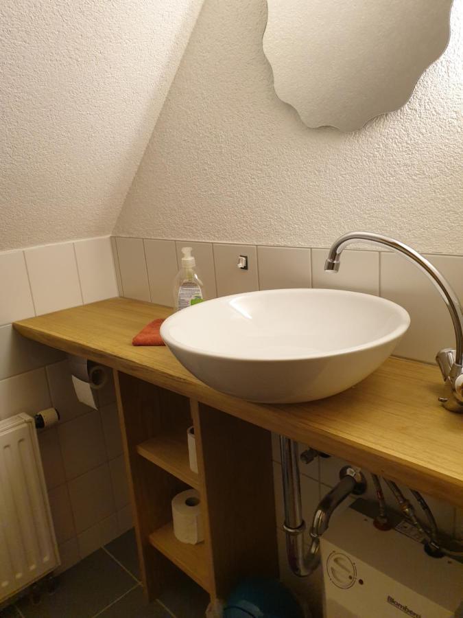 Die Gemuetliche Ferienwohnung Fuer Jedermann! Oppach 외부 사진